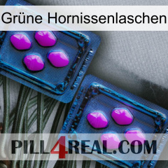 Grüne Hornissenlaschen 03